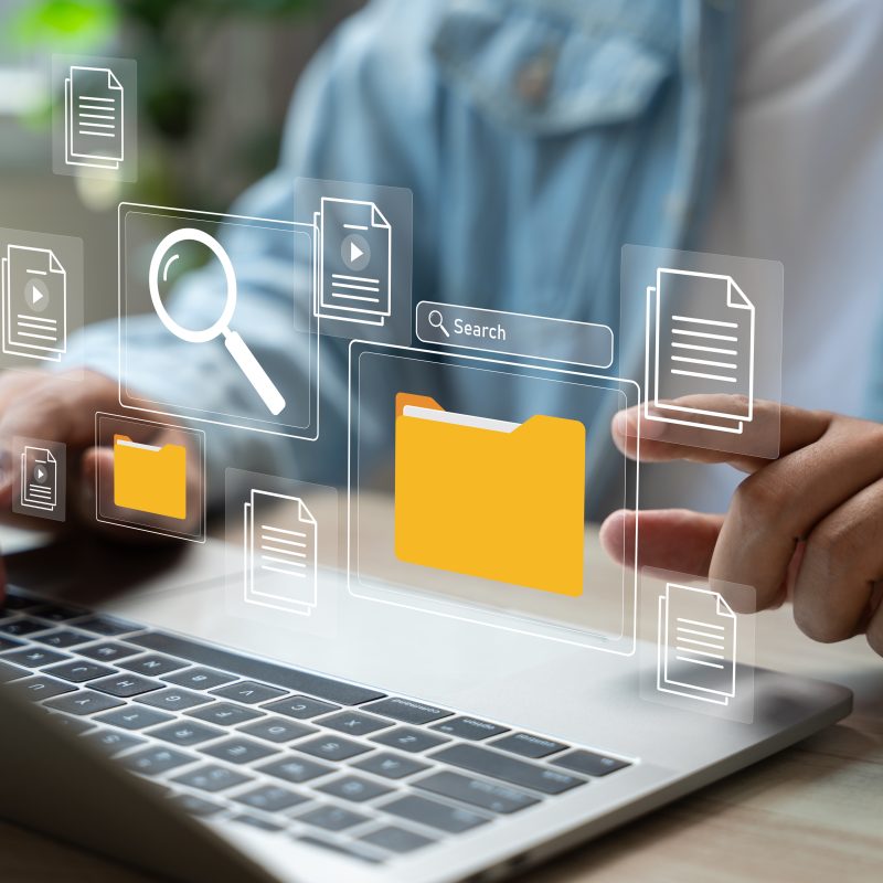 soulbird digital document management system scaled